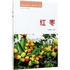 红枣 特色经济林丰产栽培技术丛书  王永康 0582 中国林业出版社 商品缩略图3