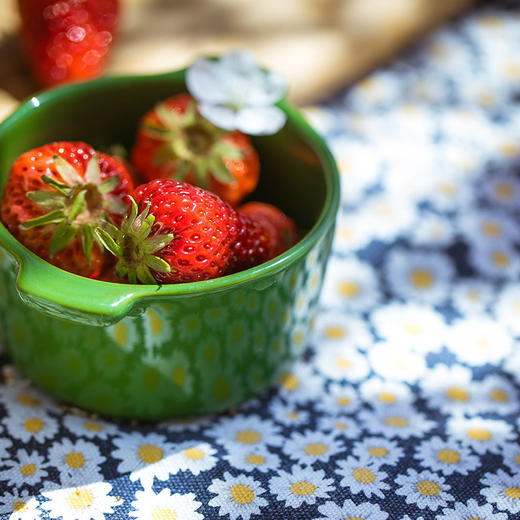 小雏菊野餐垫轻便携带户外防潮垫 商品图3