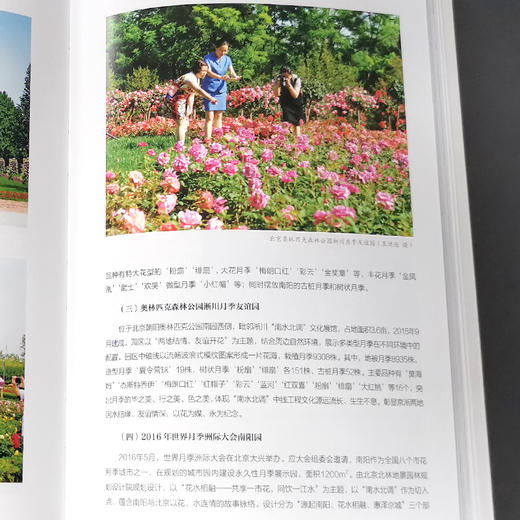 世界月季名城--南阳 张占基//王东升//胡新权 1392 中国林业出版社 商品图3