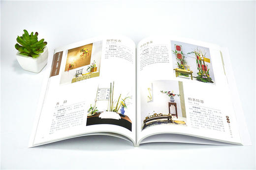 花舞凤城 梦牵世园2016唐山世界园艺博览会国际插花花艺展赛作品集 9554 书斋玄关蔬果婚庆插花花艺作品赏析 中国林业出版社畅销书 商品图3