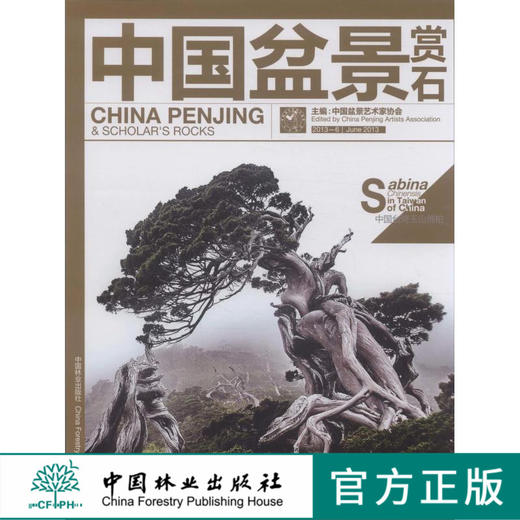 中国盆景赏石 2013-6  中国林业出版社7040 商品图0