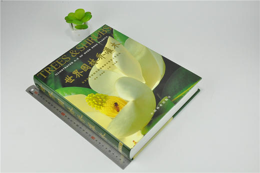 世界园林乔灌木 3810 乔灌木属种介绍 乔灌木栽培 植物分类 图解指南 植物形态展示 植物景观 科普读物 中国林业出版社 畅销书 商品图1