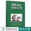 正版包邮 树桩盆景实用技艺手册 第2版 曹明君 中国林业出版社7372 盆景书籍 商品缩略图0