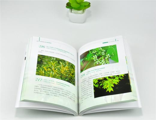 洛阳地区常见植物图谱 0256 戴攀峰 编著 蕨类植物 裸子植物 被子植物 中国林业出版社 商品图3