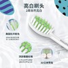 【春上新】10楼飞利浦电动牙刷成人亮白LydieBossuet—Dior合作设计师款HX2462吊牌价699元活动价549元 商品缩略图5
