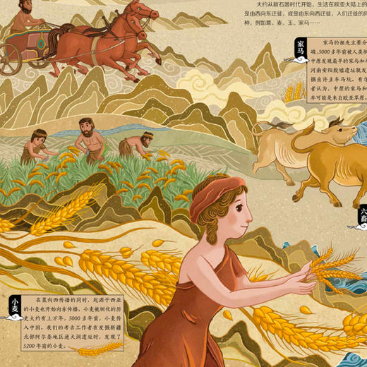 《丝绸之路历史百科绘本》（全2册） 商品图7