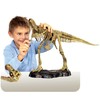 恐龙模型 探索拼装 霸王龙 商品缩略图2