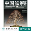 中国盆景赏石 2013-9 中国林业出版社7187 商品缩略图0
