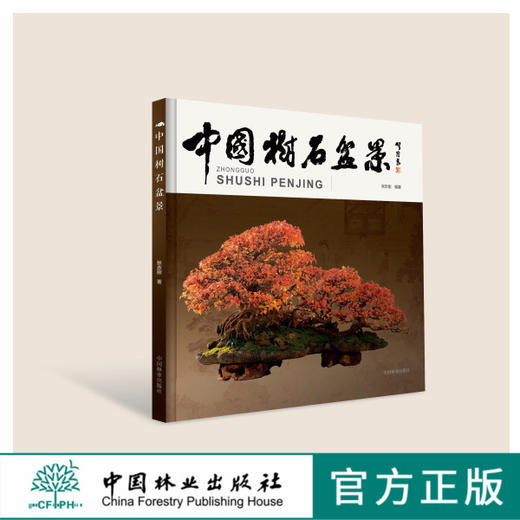 中国树石盆景 8653 历史与发展 用才 类型与方法 制作 附石盆景 丛林盆景 水旱盆景 盆景及组合  养护管理 修剪整形 病虫害防治书 商品图0