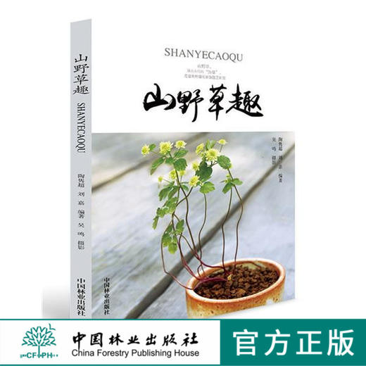 山野草趣 9471 SHANYECAOQU 蕨类 宿根 球根 木本植物 扒扒山野草的美 盆景 山野草知识常识 中国林业出版社畅销书 商品图0