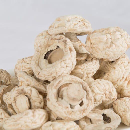 口蘑菇 商品图1