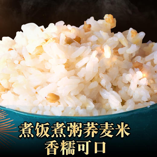 阿莫苦荞米全胚芽米 商品图1