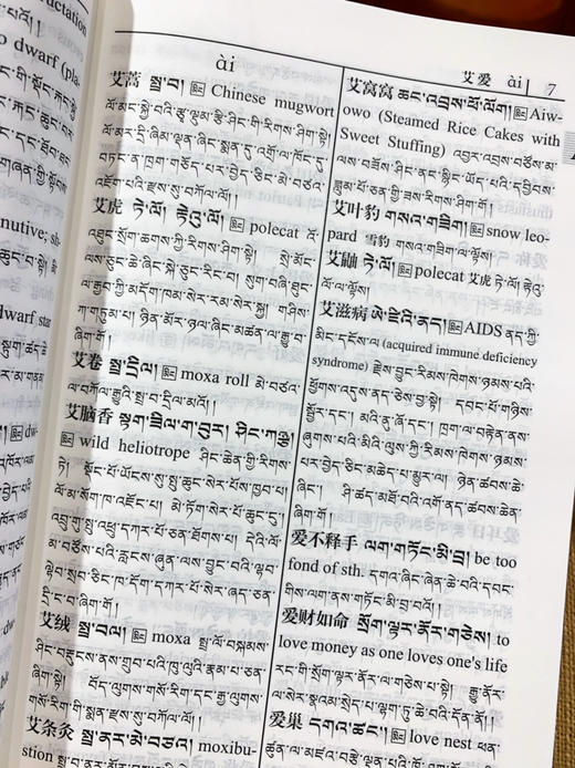 现代藏语对照词典 慈城罗珠主编 商品图6