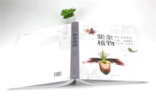 紫金植物 9957 蕨类植物 裸子植物 被子植物 科普读物 中国林业出版社 畅销书 商品图4