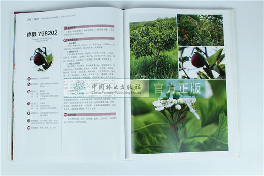 中国果树地方品种图志 中国山楂地方品种图志 9390 中国林业出版社 畅销书籍 商品图3