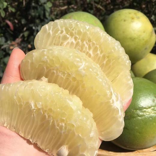 泰国青柚   （又称“丑柚”蜂蜜青柚子）  48小时左右发货 商品图14