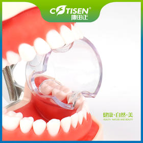 牙科开口器后牙型