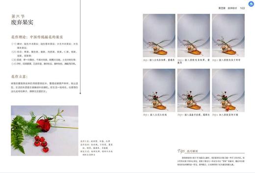 遇安花道(中国传统插花艺术教程初阶版) 王遇安//姜羽//靳显会 1512 中国林业出版社 商品图4