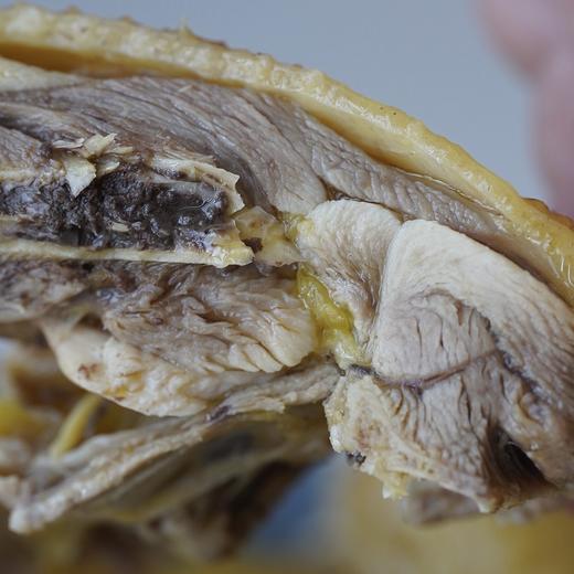 【干蒸极美 弹口浓香】福建龙岩干蒸河田鸡 300天走地飞鸡 开袋加热即食 商品图3