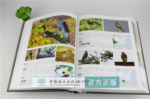中国鸟类图志 8364 上卷 非雀形目 中国鸟类识别 中国林业出版社官方自营店正版畅销书 商品图3