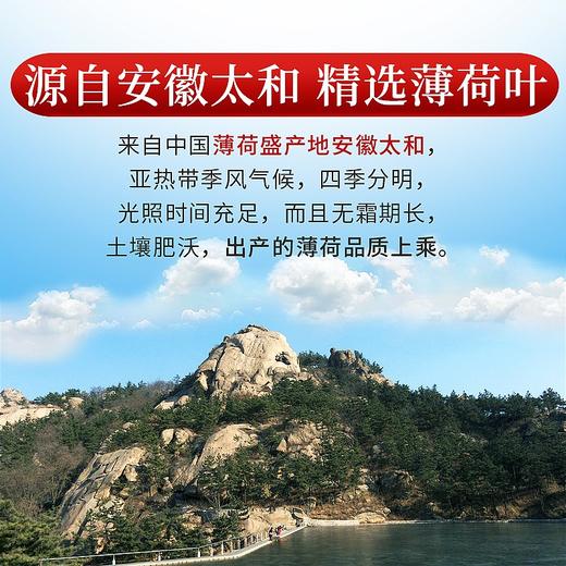 庄民 薄荷叶 干薄荷叶干颗粒 茶叶花草茶泡水 玫瑰花菊花茶搭配伴侣 精选好货75g/罐 商品图3