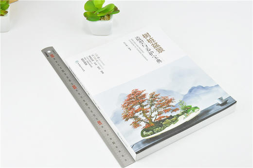 树桩盆景 造型与养护宝典 0009 兑宝峰 著 盆景盛宴150种树桩盆景植物松柏类盆景杂木类花果类盆景 盆景艺术 中国林业出版社畅销书 商品图1