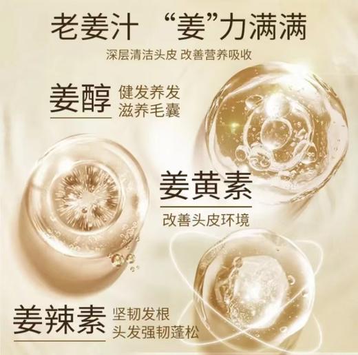 润根源老姜汁首乌灵芝洗发水375ml去屑止痒护发素养发护发柔顺发丝 商品图2