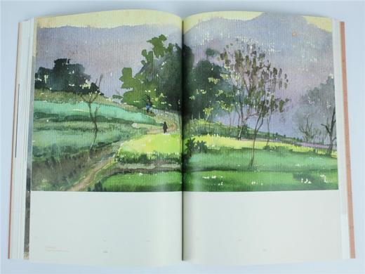 建筑师唐葆亨 建筑名师系列丛书 8679 将纹 作品欣赏 学术活动剪影 中国林业出版社 畅销书 商品图1