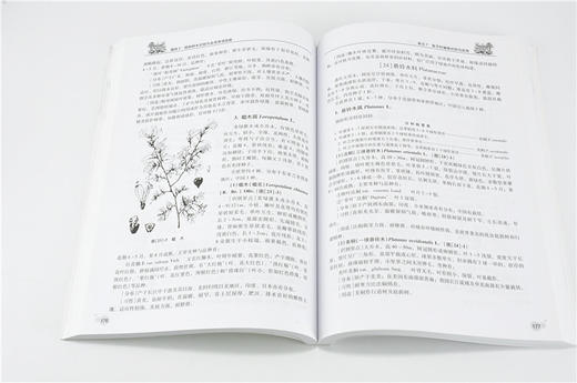 园林树木 第2版 7587 全国林业职业教育教学指导委员会高职园林类工学结合十二五规划教材 中国林业出版社正版畅销书 商品图3