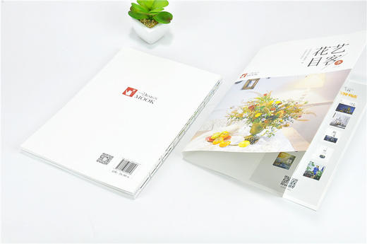 花艺目客 冬 9905 空气感花束 干燥桌花 漂浮花艺 花艺气球组合装饰 手捧花 压花 制作要点 插花花艺设计书 中国林业出版社 畅销 商品图4