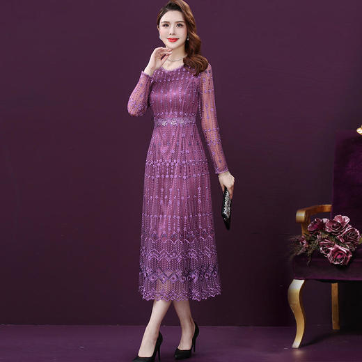 WXY-XY-210661W新款轻奢优雅气质收腰圆领长袖长款网纱刺绣连衣裙 商品图1