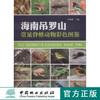 海南吊罗山常见脊椎动物彩色图鉴 中国林业出版社7492  科技 商品缩略图0