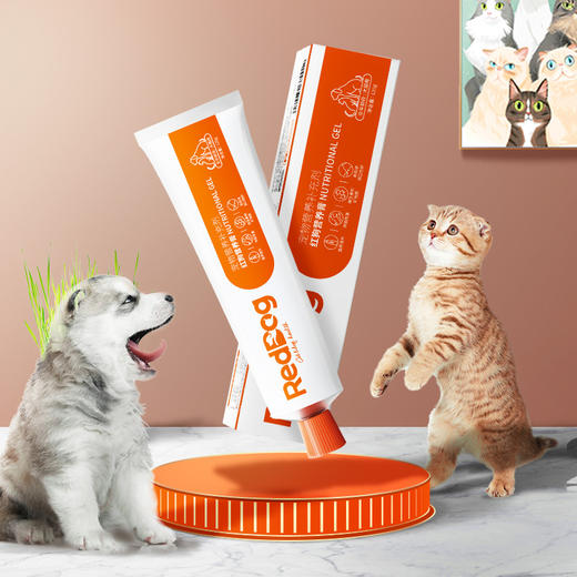 红狗猫咪营养膏120g 商品图2