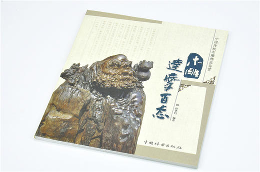木雕达摩百态中国传统木雕精品鉴赏5147木雕 根雕 艺术中国林业出版社官方自营店正版畅销书 商品图2