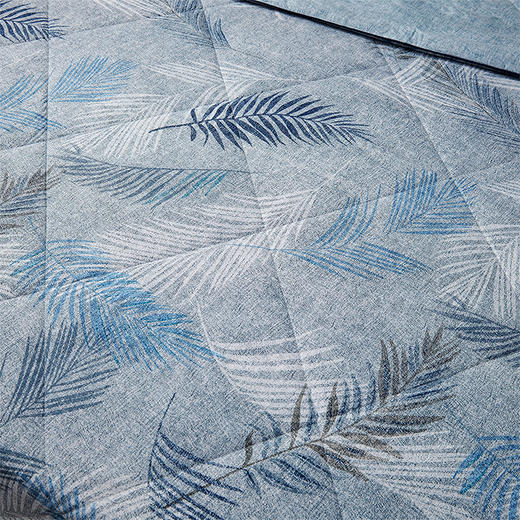 HBXW-055S 蚕丝蛋白纤维印花被 商品图4