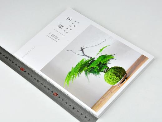 苔玉 苔藓盆中的自然精华 0146 花园时光 苔玉基础知识 养护使用布置 室内室外苔玉盆景 分步骤制作演示 中国林业出版社 商品图1