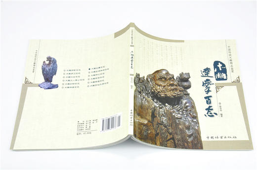木雕达摩百态中国传统木雕精品鉴赏5147木雕 根雕 艺术中国林业出版社官方自营店正版畅销书 商品图4