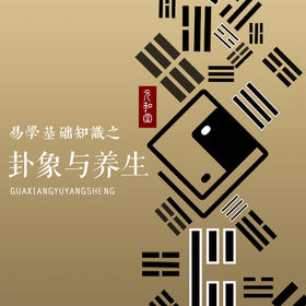 易学基础课「迷罗亲讲」58节大型课程｜卦象｜星象｜流年｜九宫｜掌诀 |直播专属|联系老师学习|元和学院