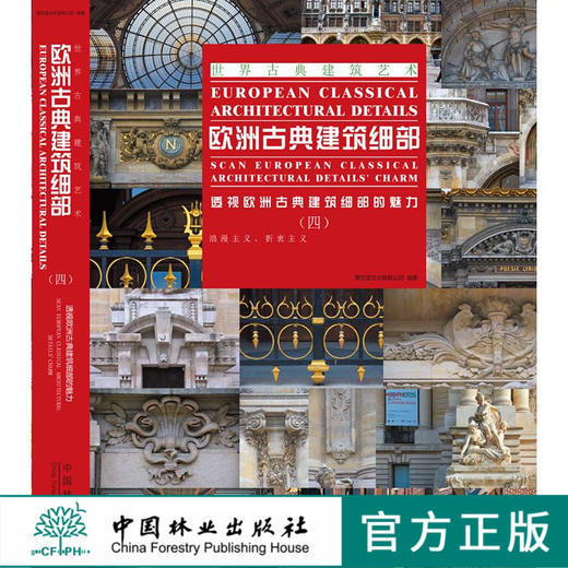 欧洲古典建筑细部(四) 6934 浪漫主义 折衷主义 建筑外观 墙 窗 门 柱 廊 拱券 装饰元素 室内空间 建筑设计畅销书 中国林业出版社 商品图0