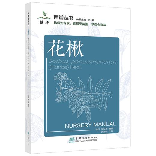 花楸 苗谱丛书 找得到专家 看得见苗圃 学得会育苗 刘勇 杨玲、梁立东 1503 中国林业出版社 商品图1