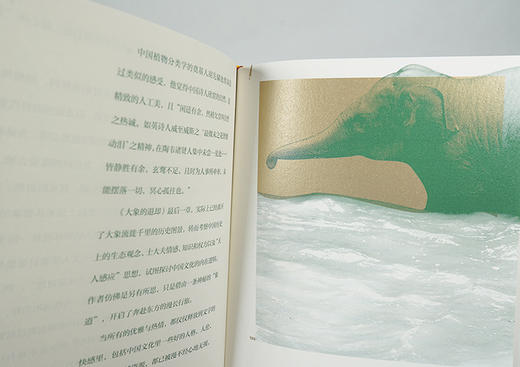 观象 亚洲象普及读物 亚洲象的生存面相 刘东黎  1362 中国林业出版社 商品图4