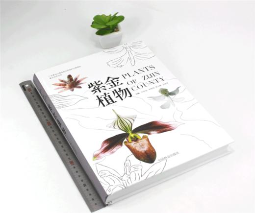 紫金植物 9957 蕨类植物 裸子植物 被子植物 科普读物 中国林业出版社 畅销书 商品图1