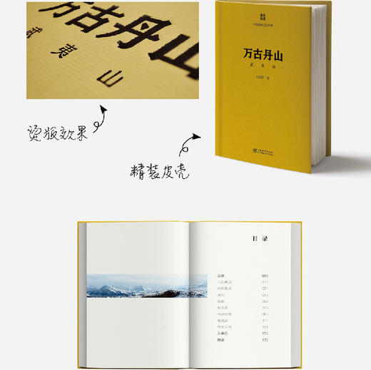 中国国家公园丛书 东北虎豹  &2233 商品图1