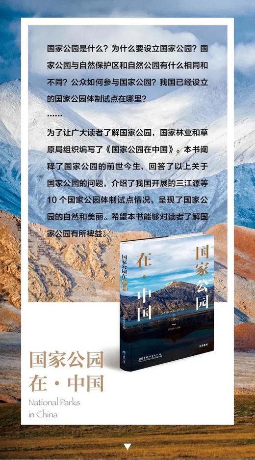 国家公园在·中国  唐芳林 1061 中国林业出版社 商品图3