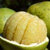 泰国青柚   （又称“丑柚”蜂蜜青柚子）  48小时左右发货 商品缩略图1