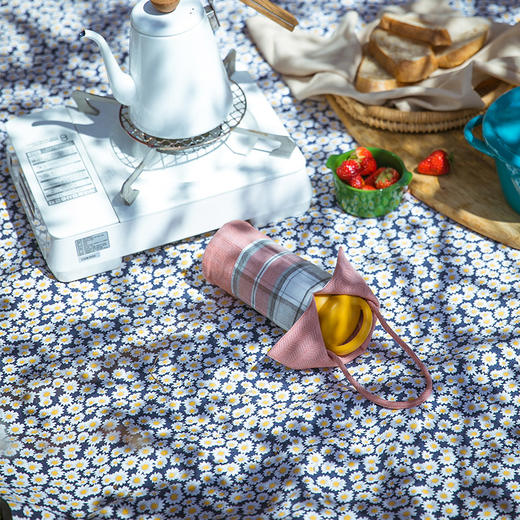 小雏菊野餐垫轻便携带户外防潮垫 商品图2