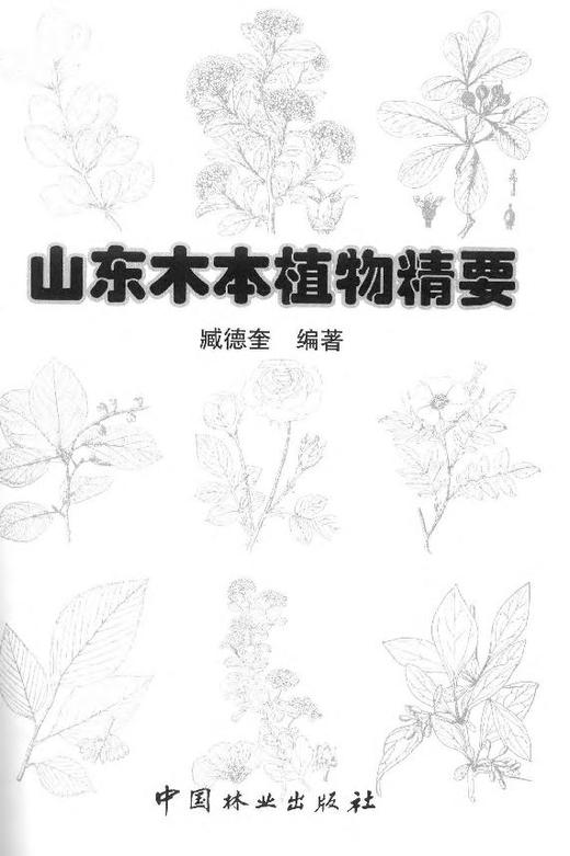 山东木本植物精要 8112  科技 商品图1