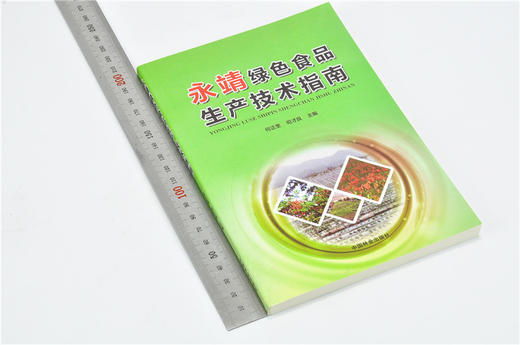 永靖绿色食品生产技术指南 9455 何正奎 农业技术知识 中国林业出版社 畅销书 商品图1