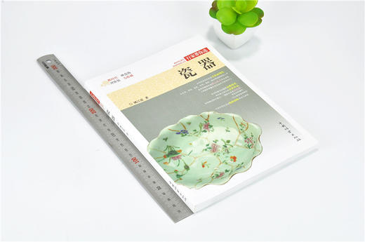 瓷器 行家带你选 9886 姚江波 段时代 辨真伪 评价值 为收藏 中国林业出版社 正版畅销书 商品图1