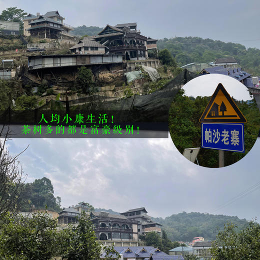 微量返场！紫陶缸存放半年，堪比首发时期，更是震撼！【用实际证明！】生机是一切味道的重点！【帕沙之王！】南龙头角，长日照！ 商品图2